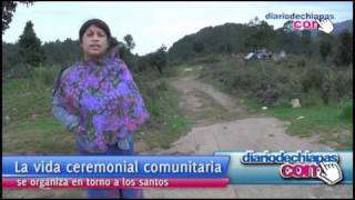 Ver video Ver video