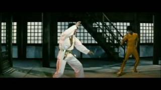 JI Han-Jae vs Bruce LEE Game of Death