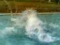 videos de 30112008(004)
