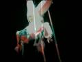 videos de trapeze ballant naima