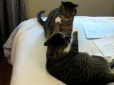 Grimace and Micky Biting Each Other\