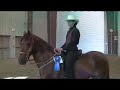 Baccarat HP at Open Horse Show Baccarat HP at Open Horse Show