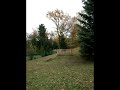 A tribute to \"Baum\"
