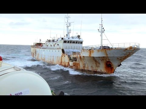 how to become a fisheries officer nz