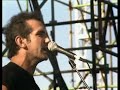 PAUL KELLY  Dumb Things Live