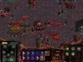 Starcraft Brood War - Zerg 01 Vile Disruption in 1:40