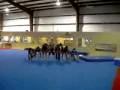 Dive roll
