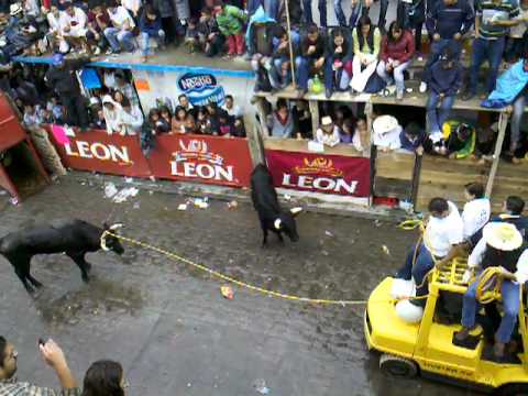 HUAMANTLA - Lo mas interesante en la calle que estuvimos xD... el toro iba sangrando cuando lo encerraron. :S.