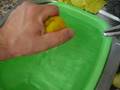 videos de Acuario: Limpieza de los elementos ornamentales.