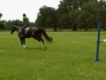 Escapade-Richard