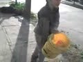 el maldadoso