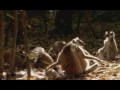 In The Wild : Cleese With Lemurs 2/7