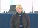 Annemie NEYTS on Iran and the international community