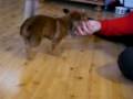 videos de 2009-01-06 045
