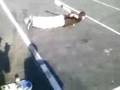brandon belly boarding at bay plaza