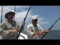 SHARK! - Coastal Georgia Fishing