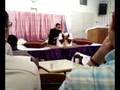 Mushaira...(Adeel Shakir) Part 1/2