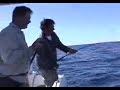 Bluefin Mayhem!