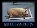 motivation motivation