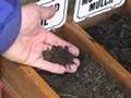 Grimms Mulch