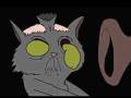 videos de zombie cats.mpg