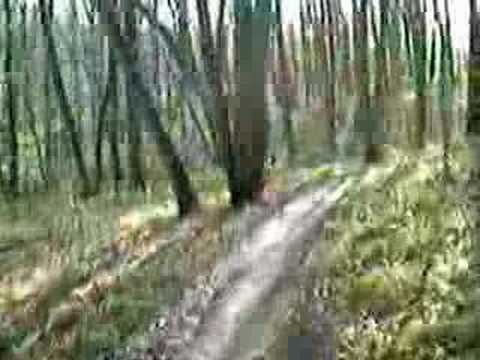 Mountain Biking Brown ...