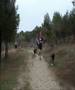 Canicross Rivas Vaciamadrid