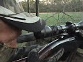 Deer Hunting ( IMPACT SHOT )