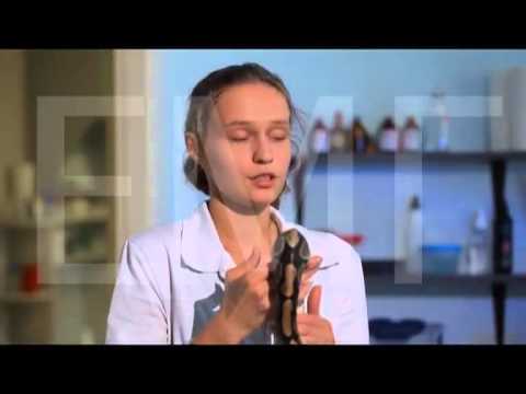 Питание, кормление эублифара