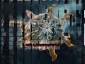 Darkorbit Die Daten der Aliens. Darkorbit Die Daten der Aliens.