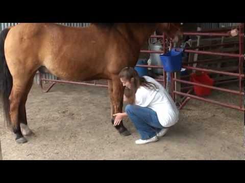 how to dissolve essential oils in alcohol