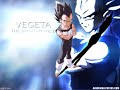The Video of the couple - Bulma and Vegeta