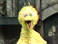 Sesame Street - Elmo's Song