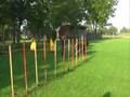 Agility - Slalom rückwärts
