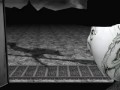video del tema de dwomo el �ltimo clown: realizado por juan tozzo/diego gleizer. 
tirame un hueso, 2006.