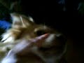 Soso 1