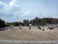 Sigmund's Dream, jumping, low childrens 2008