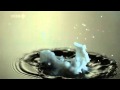 Richard Hammond's Invisible Worlds - Water Strider