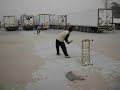 Cricket Playing