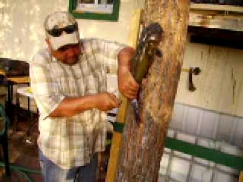 how to bleed out a catfish