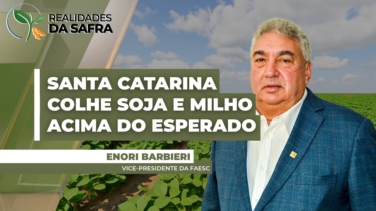 Santa Catarina deve fechar safras de soja e milho acima do esperado