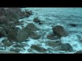 Arto Lindsay Prize Winner in Ladonia Biennial 2009