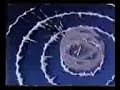 dragon ball- las fusiones de goku y vegeta