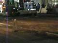 KILLER MACK WINS BLOOMSBURG FAIR PULL