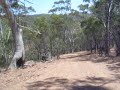 Bar cam on pitbike - fire road