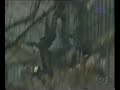 YouTubeサムネイル[Rq1dR5eScr8] - 3枚目