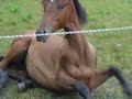 Heidi 2009 066.mov
