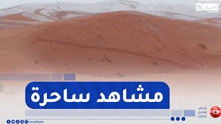 النعامة / الثلوج تعانق جبل مكثر وتزين الرمال الذهبية بالعين الصفراء