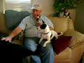 Our friend Dave wanted to bring his Jack Russell mix puppy Gidget to our house for some socialization, and we were happy to oblige. Little Gidget got a crash course in doggie socialization when she was surrounded by Peg, Orphy and Sandy.