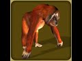 Zoo Tycoon 2 Endangered Species Animals Zoo Tycoon 2 Endangered Species Animals